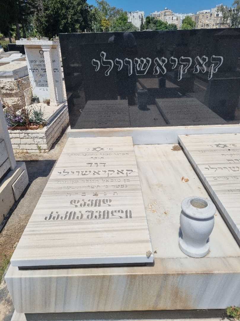 קברו של דוד קאקיאשוילי. תמונה 2