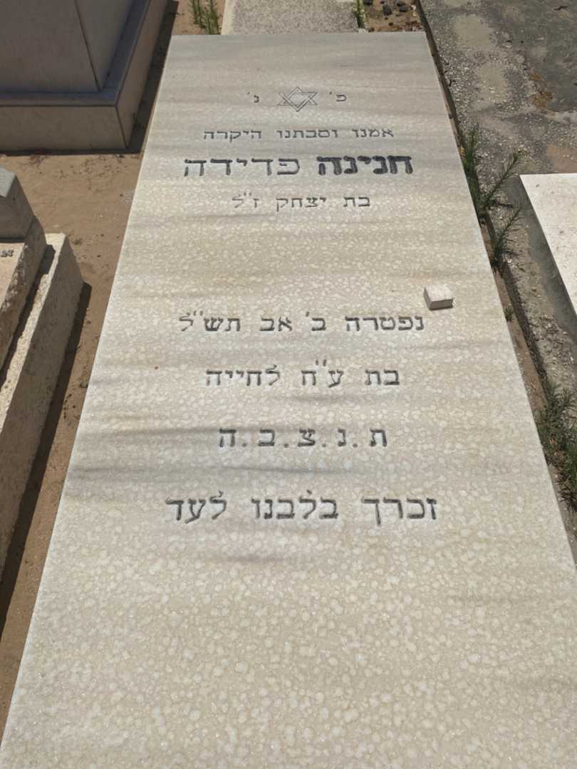 קברו של הנינה פדידה