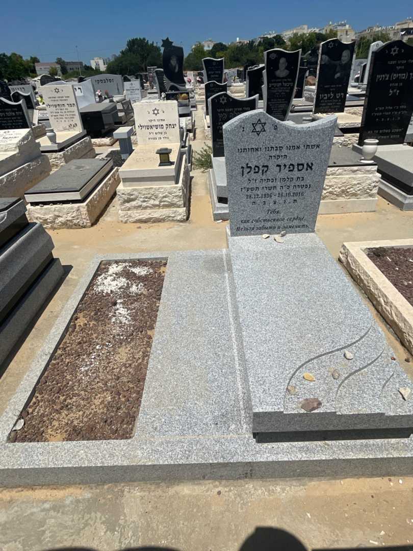 קברו של אספיר קפלן. תמונה 1