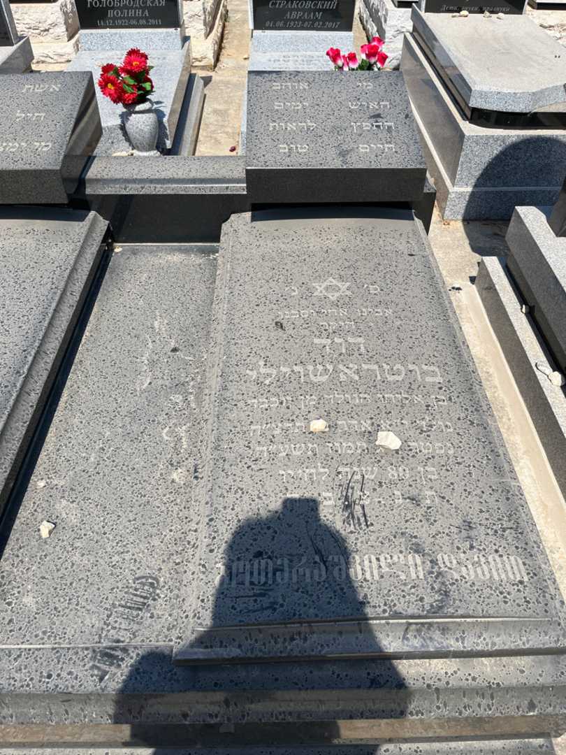 קברו של דוד בוטראשוילי. תמונה 2