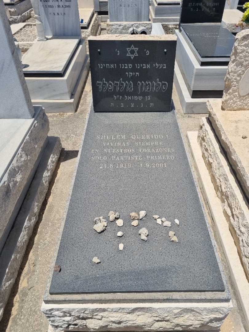 קברו של סלומון גולדפלד