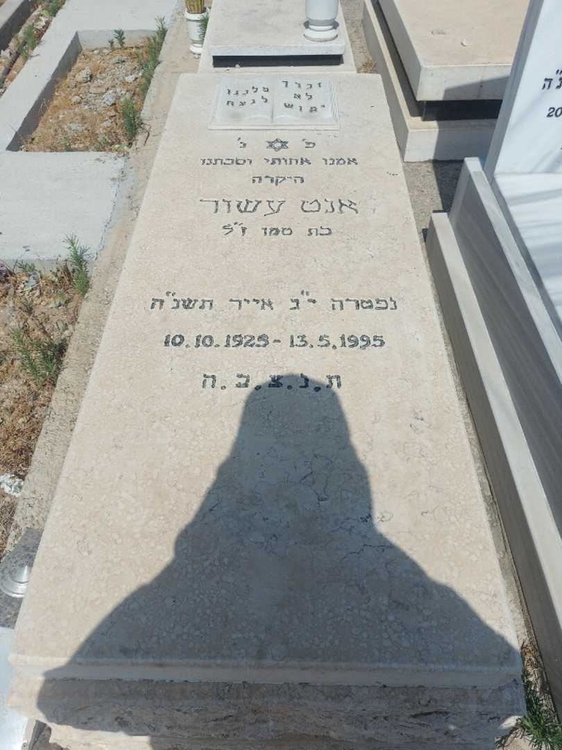 קברו של אנט עשור