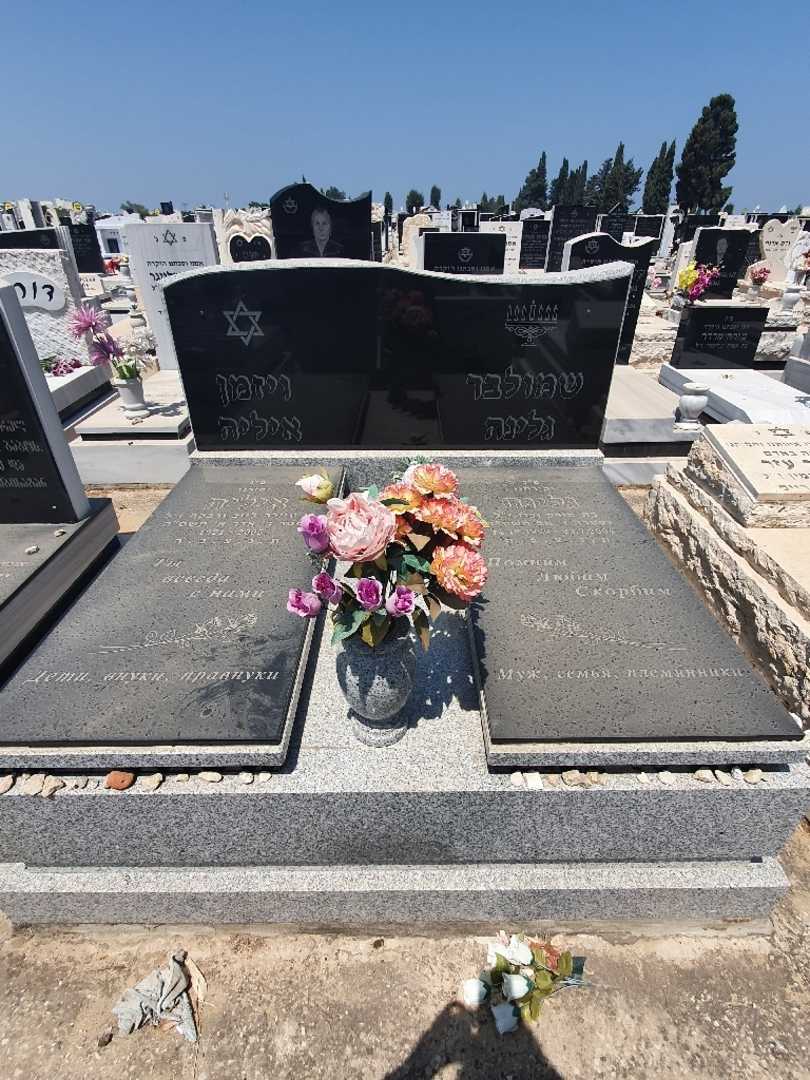 קברו של איליה ויזמן. תמונה 1