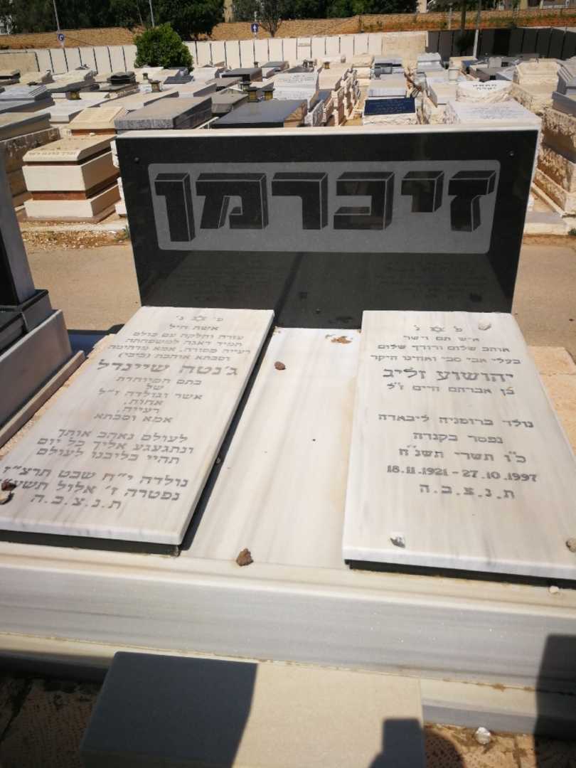 קברו של יהושוע זליג. תמונה 2