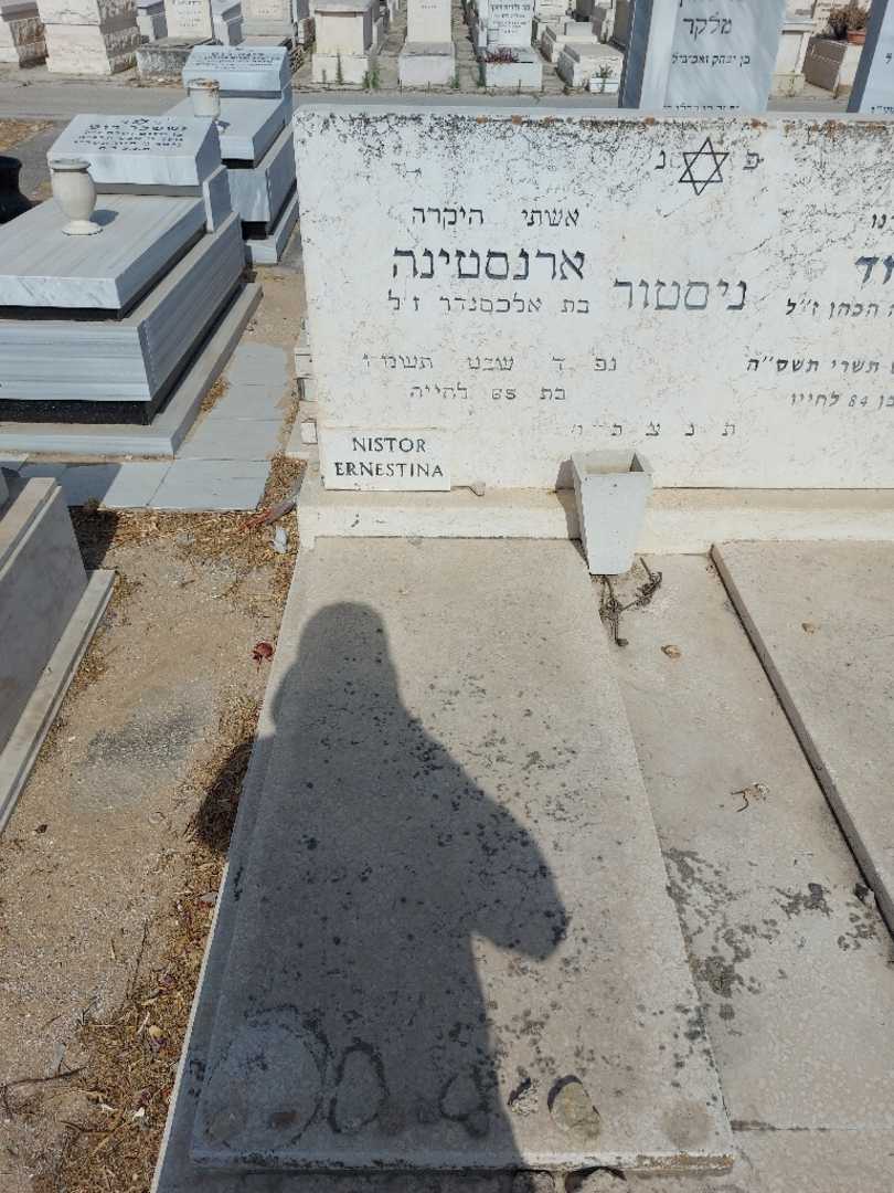 קברו של ארנסטינה ניסטור. תמונה 2