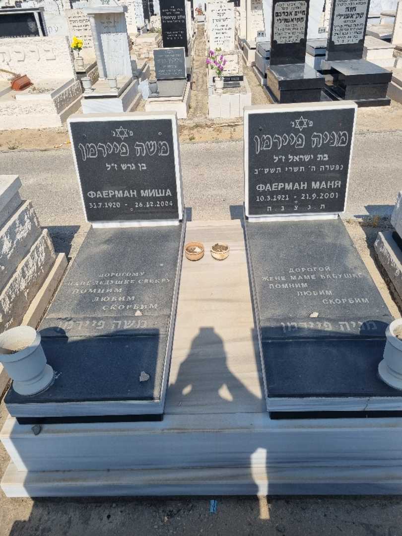 קברו של משה פיירמן. תמונה 1