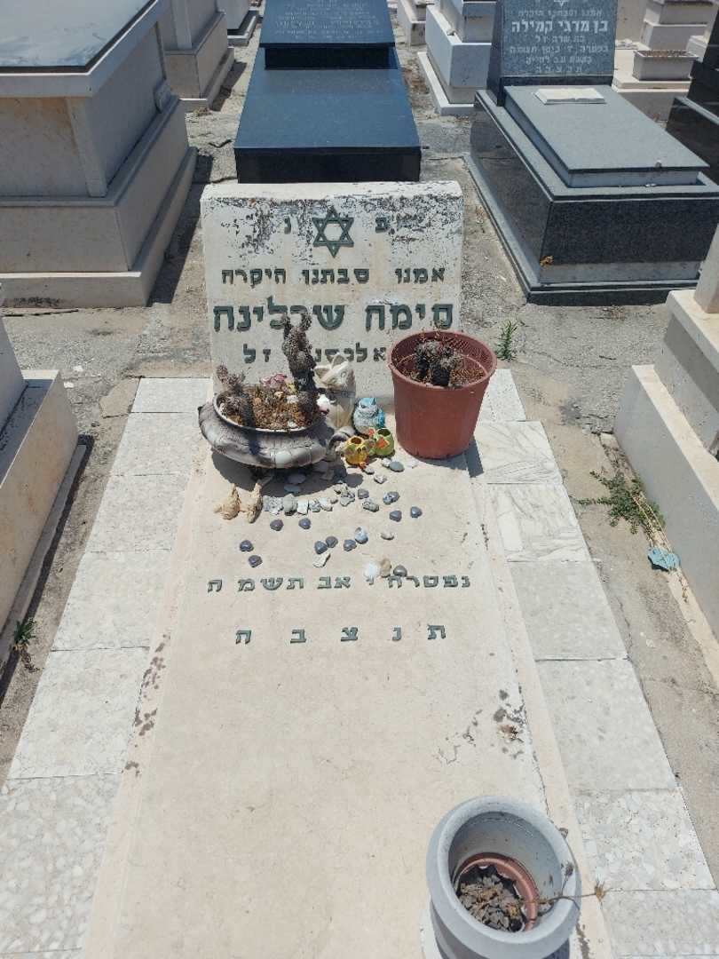 קברו של סימה שרלינה. תמונה 1