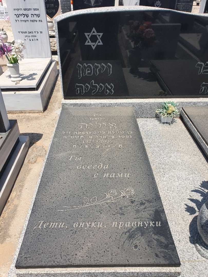 קברו של איליה ויזמן. תמונה 2