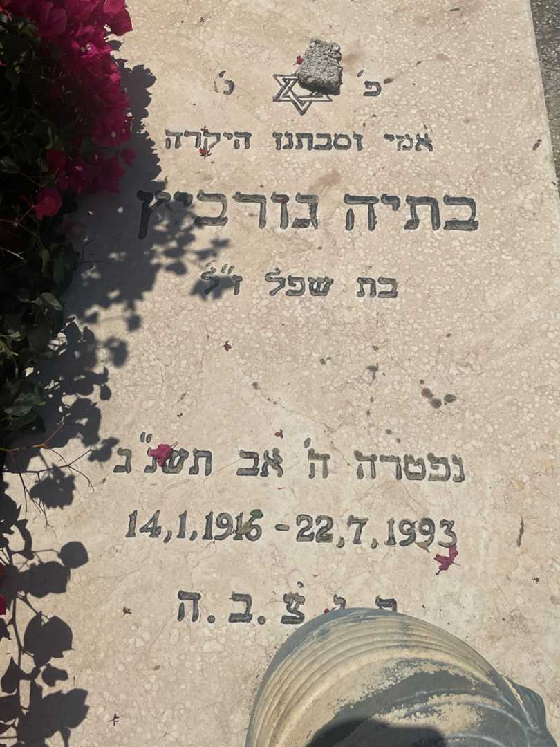 קברו של בתיה גורביץ. תמונה 2