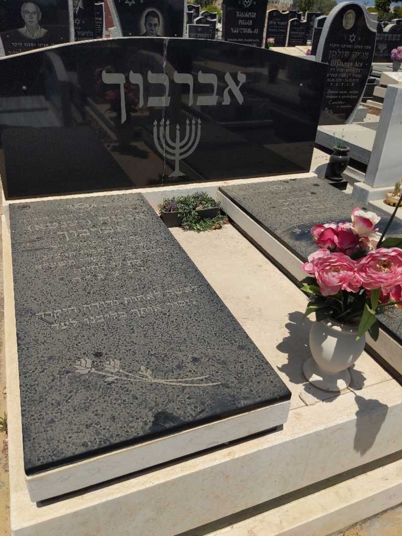 קברו של אנטה "יענטא" אברבוך. תמונה 1
