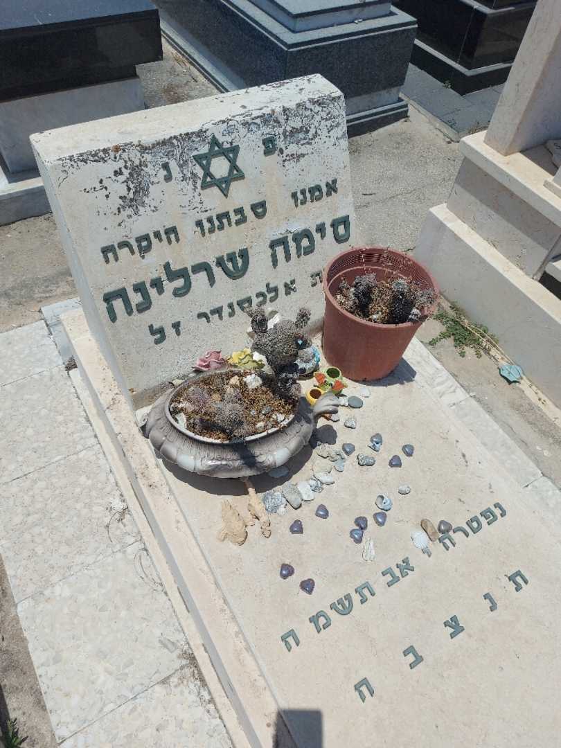 קברו של סימה שרלינה. תמונה 2