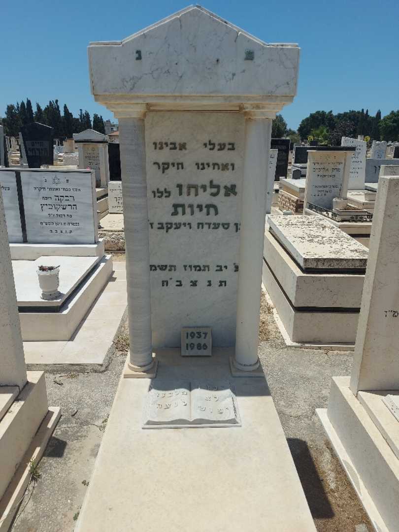 קברו של ללי "ללו" חיות. תמונה 1