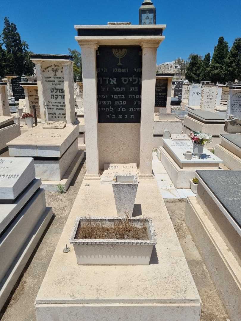 קברו של אליס אדוק. תמונה 1