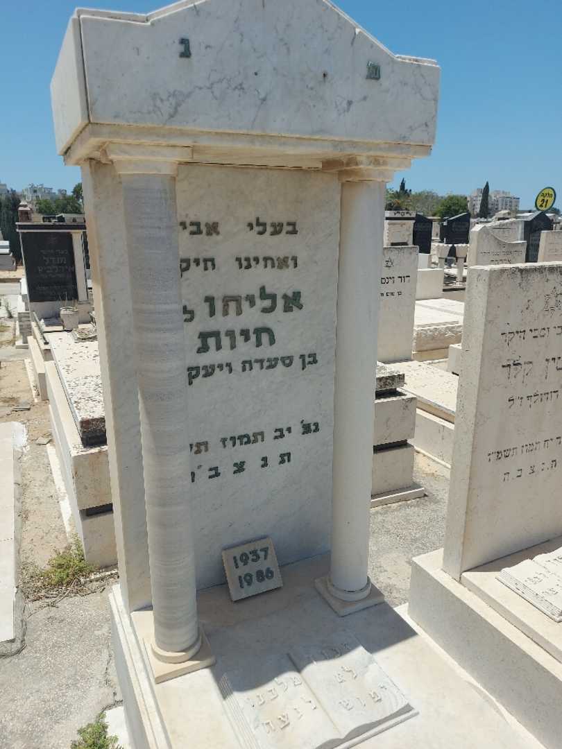 קברו של ללי "ללו" חיות. תמונה 2
