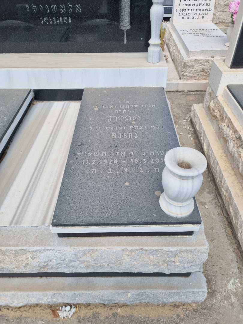 קברו של פאינה אלשוילי. תמונה 2