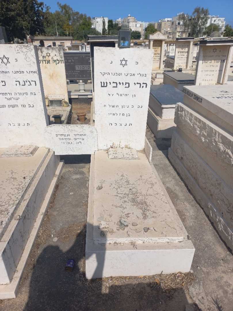 קברו של אריה פייביש