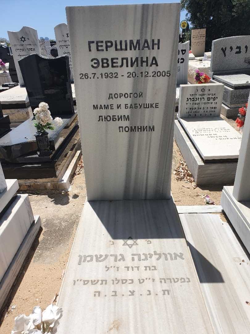 קברו של אוולינה גרשמן. תמונה 2