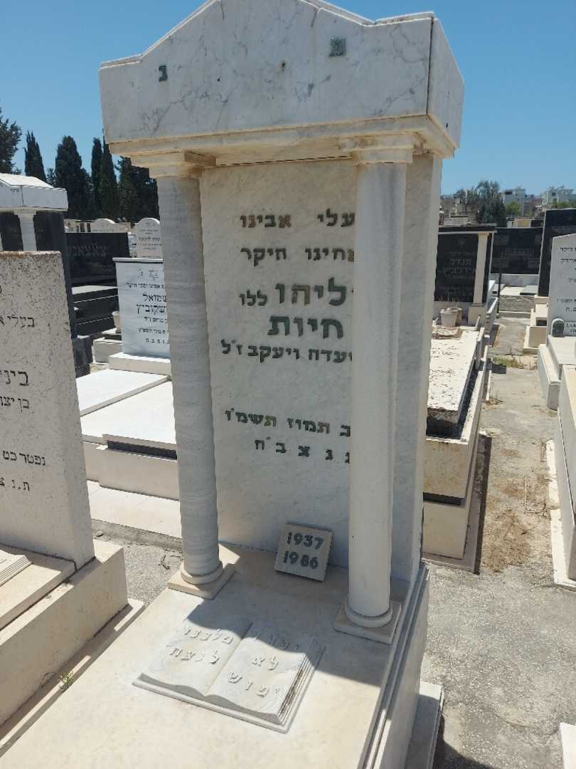 קברו של ללי "ללו" חיות. תמונה 3
