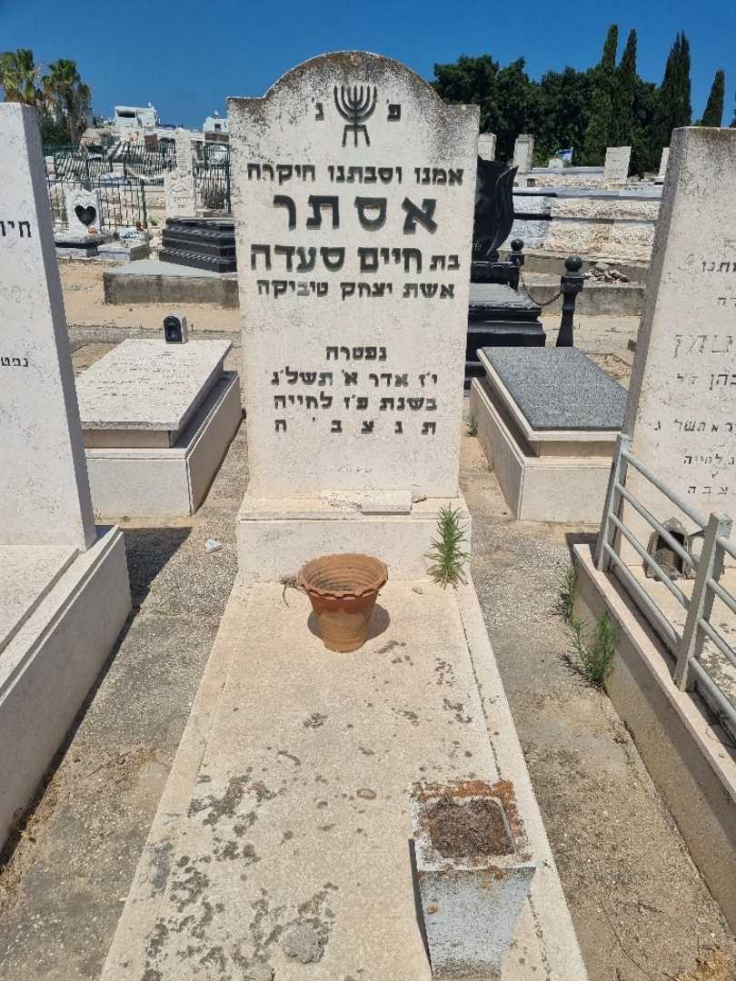 קברו של אסתר טיביקה