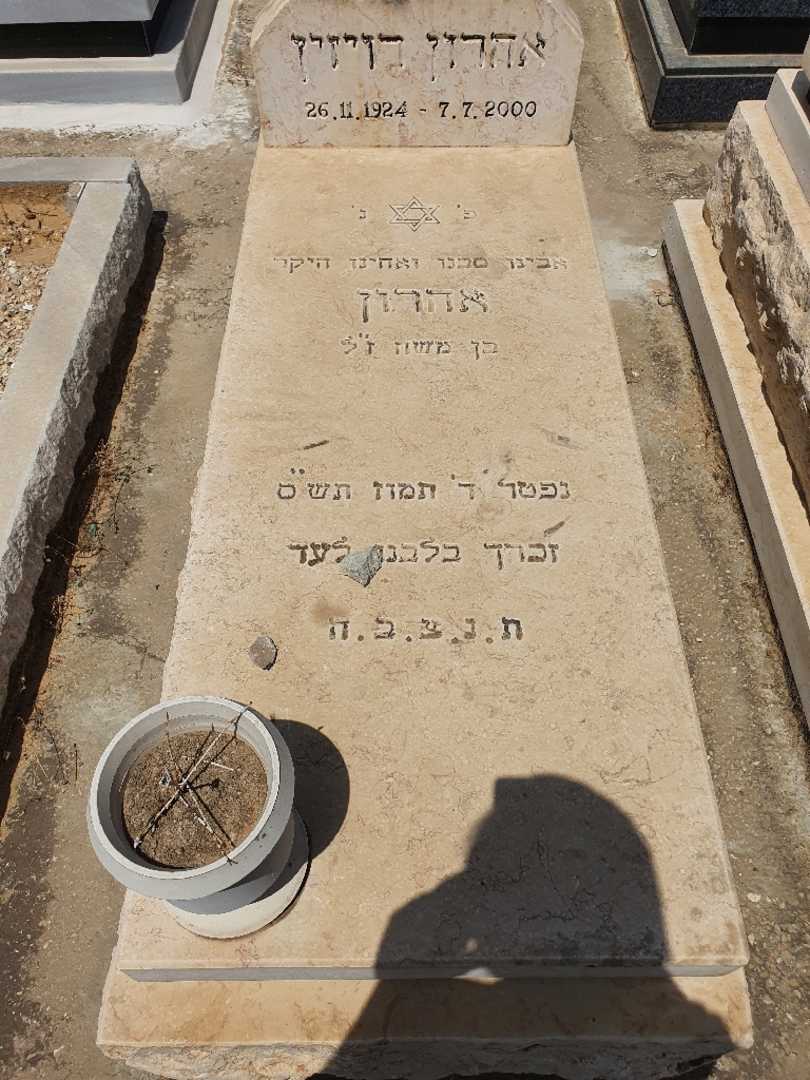 קברו של אהרון רויזין
