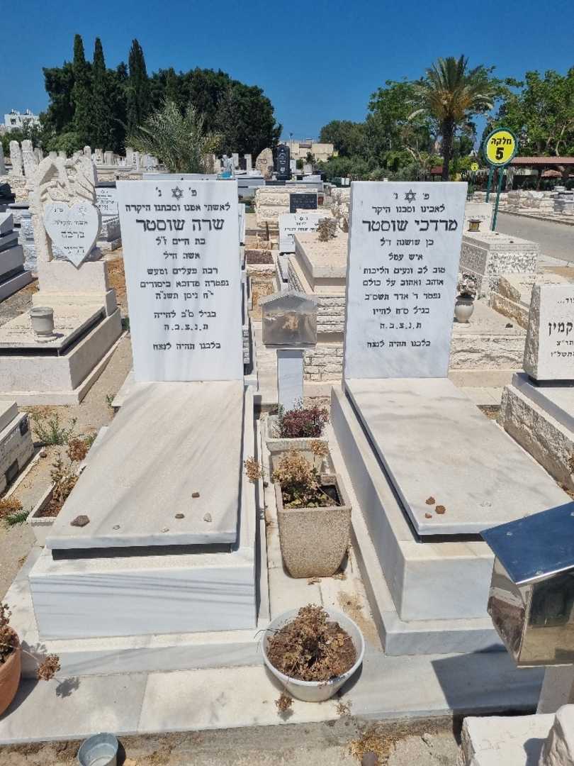 קברו של שרה שוסטר. תמונה 1