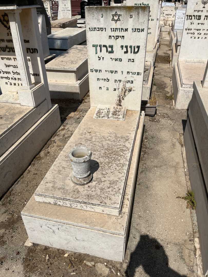 קברו של טוני בורך