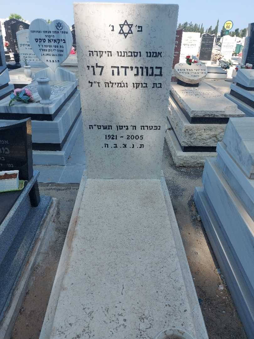 קברו של בנונידה לוי