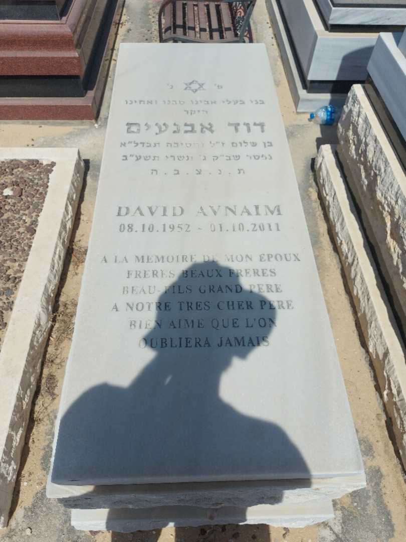 קברו של דוד אבנעים