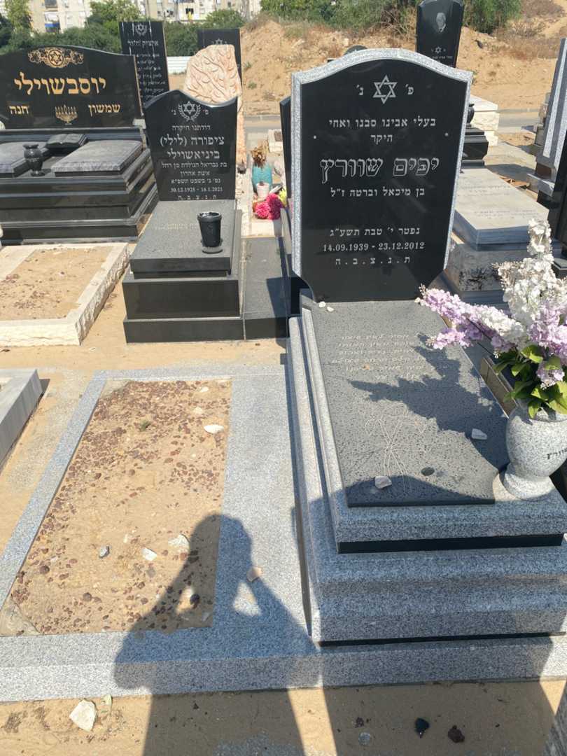 קברו של יפים שוורץ. תמונה 1