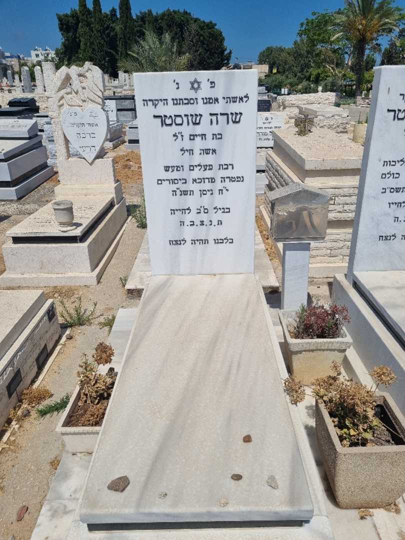 קברו של שרה שוסטר. תמונה 2