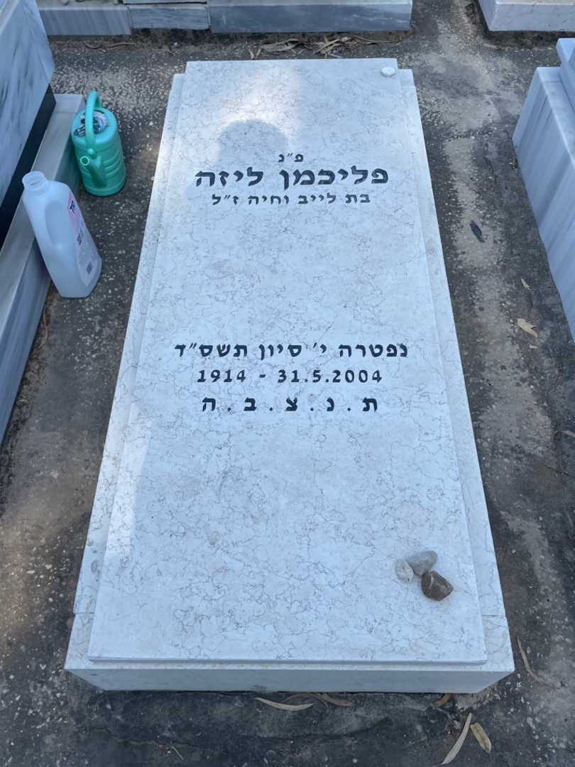 קברו של ליזה פליכמן