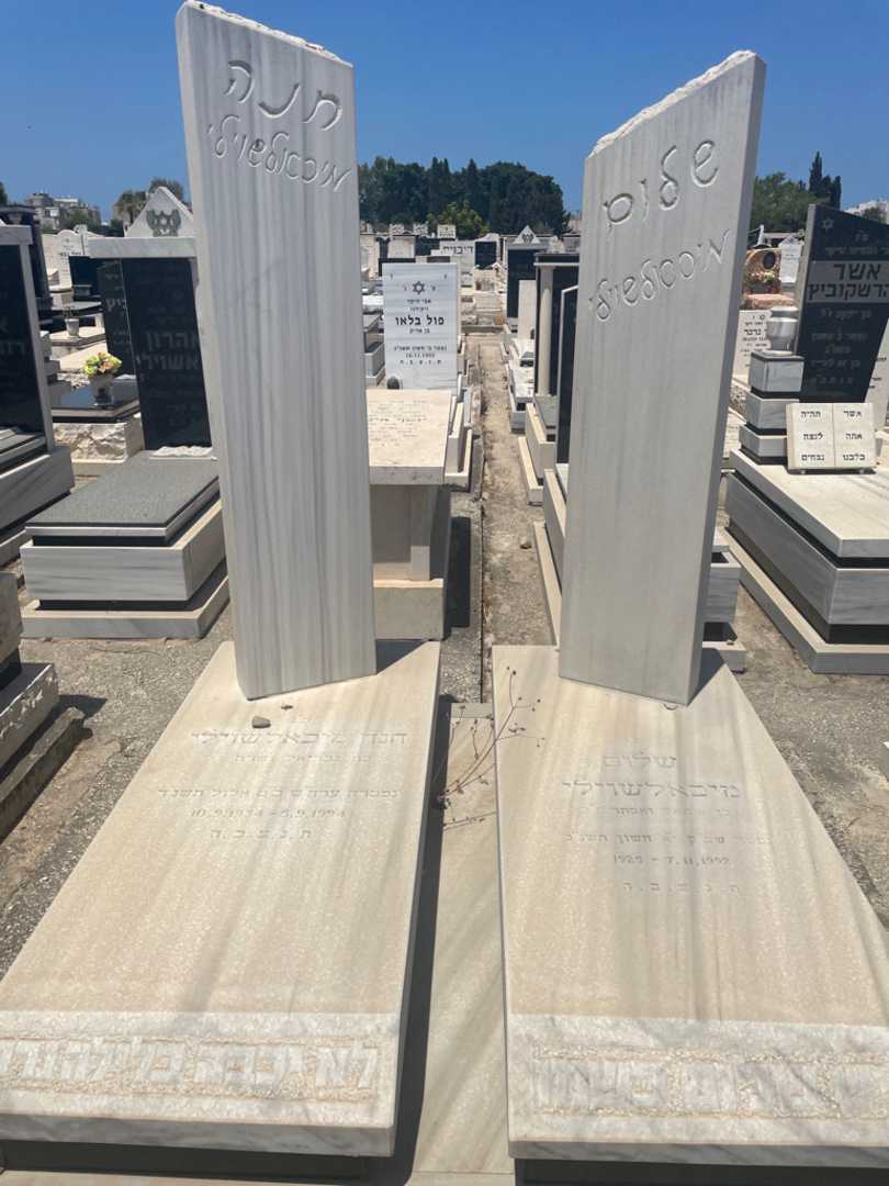 קברו של שלום מיכאלשוילי. תמונה 1