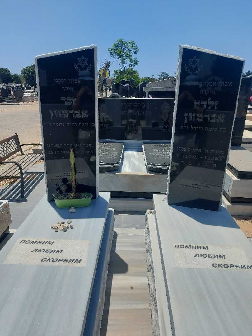 קברו של זלדה אברמזון. תמונה 1