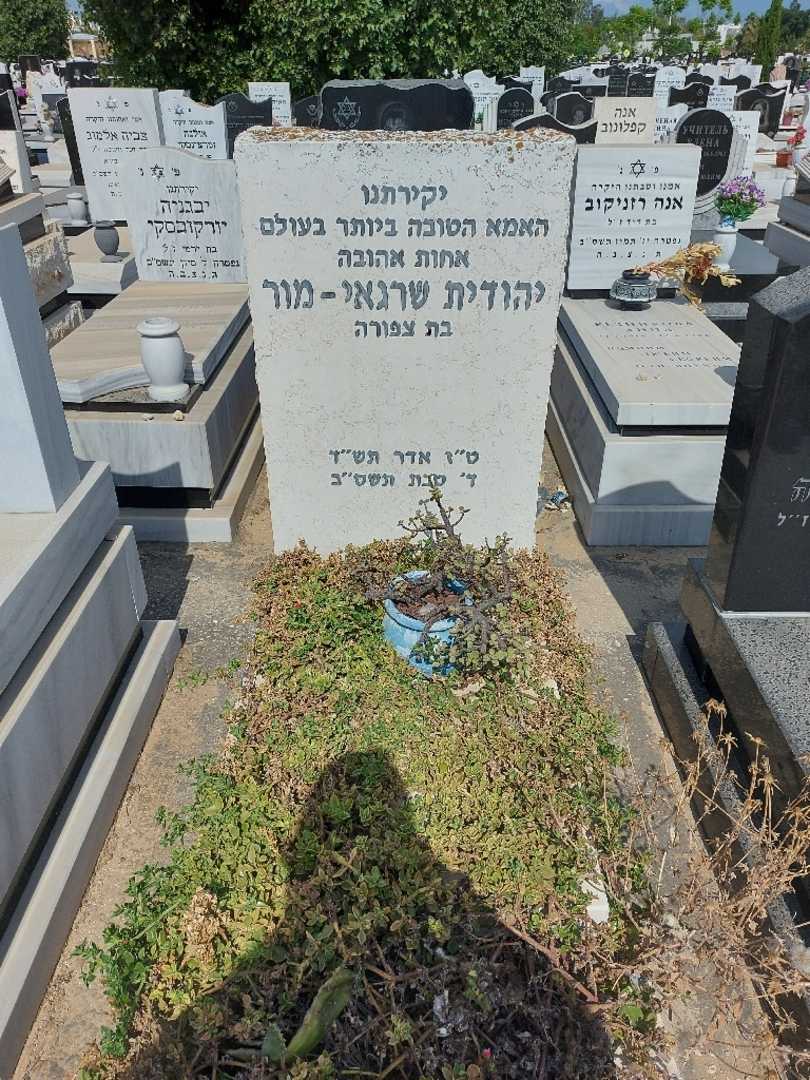 קברו של יהודית שרגאי - מור