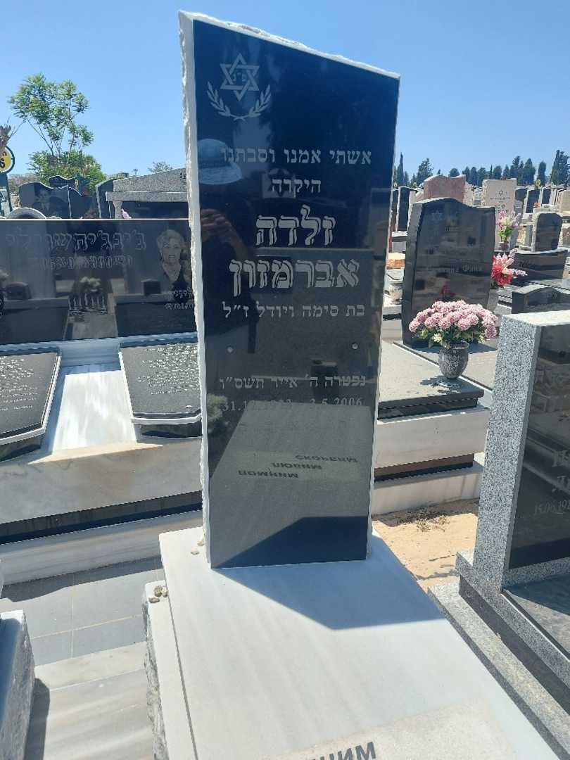 קברו של זלדה אברמזון. תמונה 2