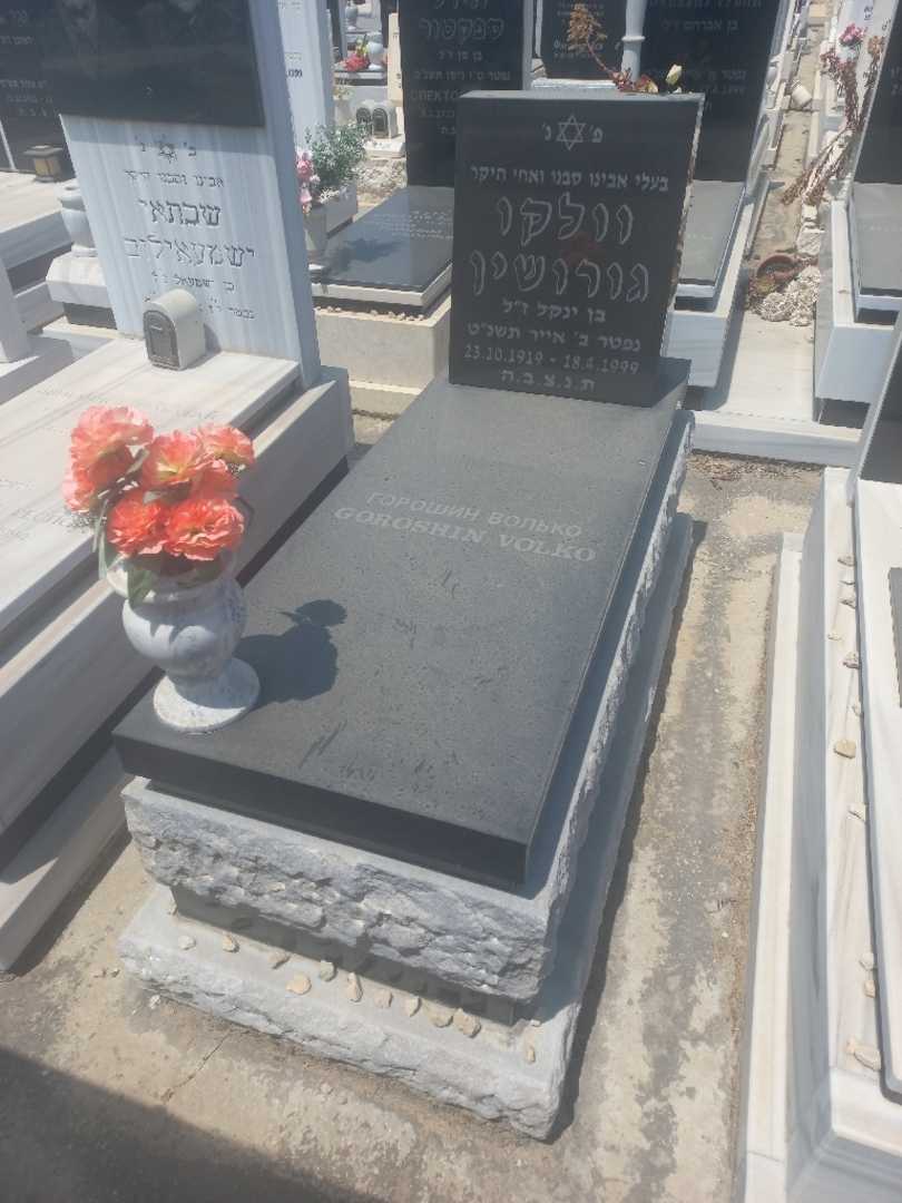 קברו של ולדימיר גורושין