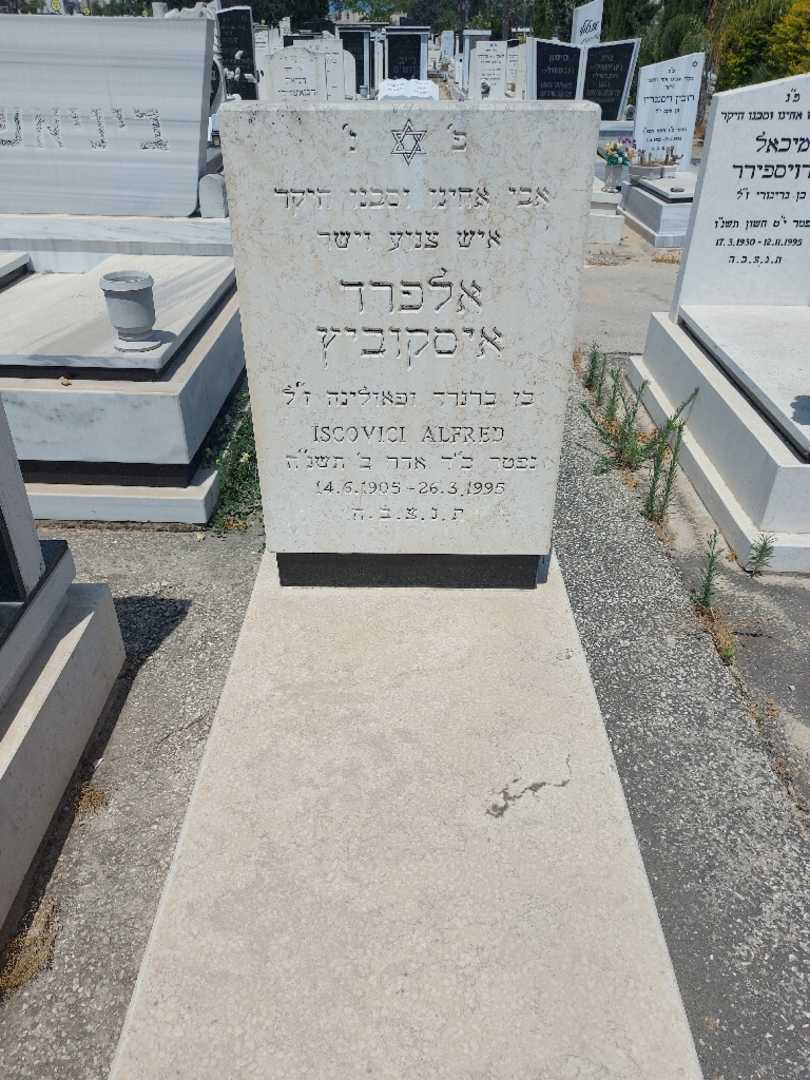קברו של אלפרד איסקוביץ
