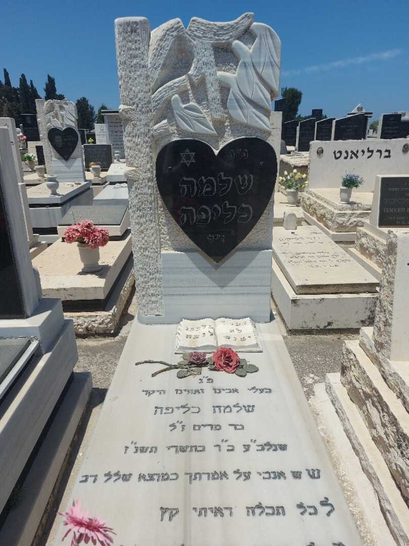 קברו של שלמה כליפה. תמונה 1