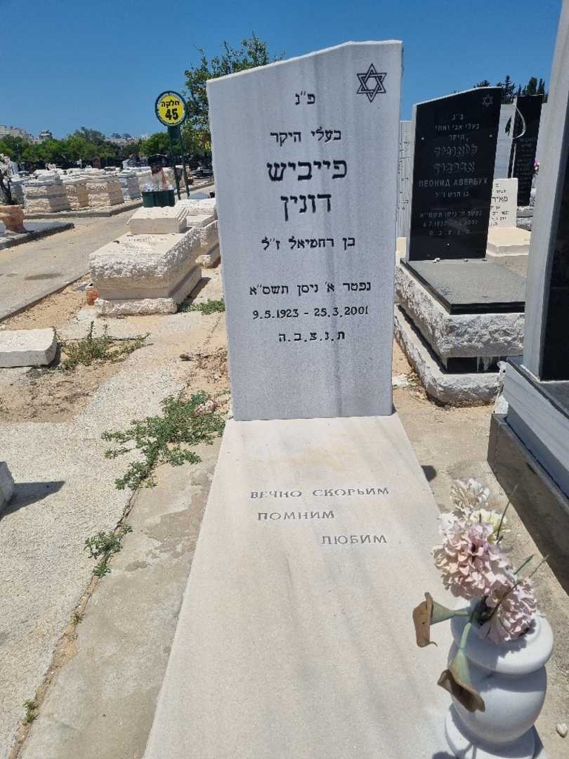 קברו של פייביש דונין