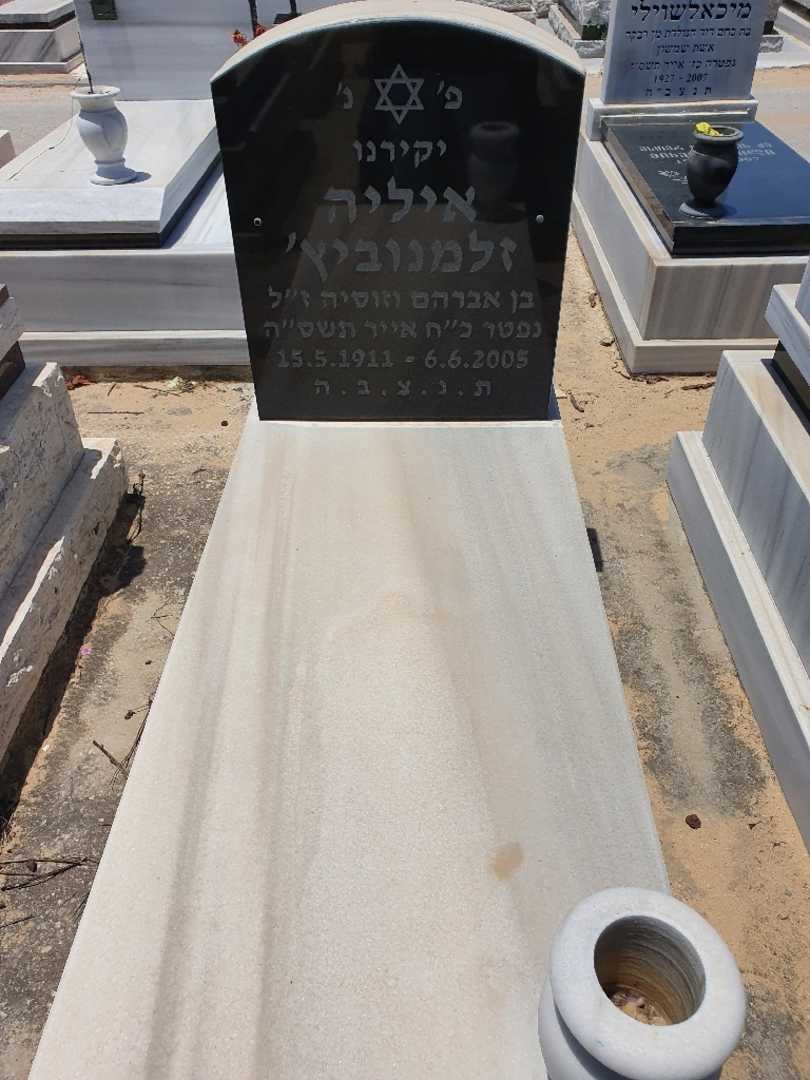 קברו של איליה זלמנוביץ'