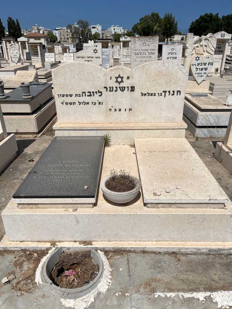 קברו של חנוך פושנער. תמונה 1