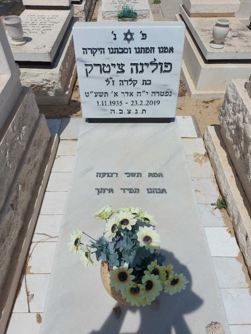 קברו של פולינה ציטרק