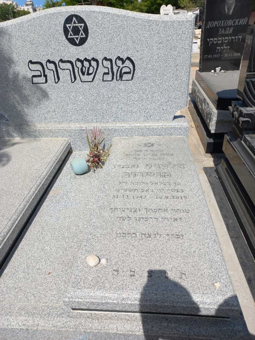 קברו של אלברט מנשרוב