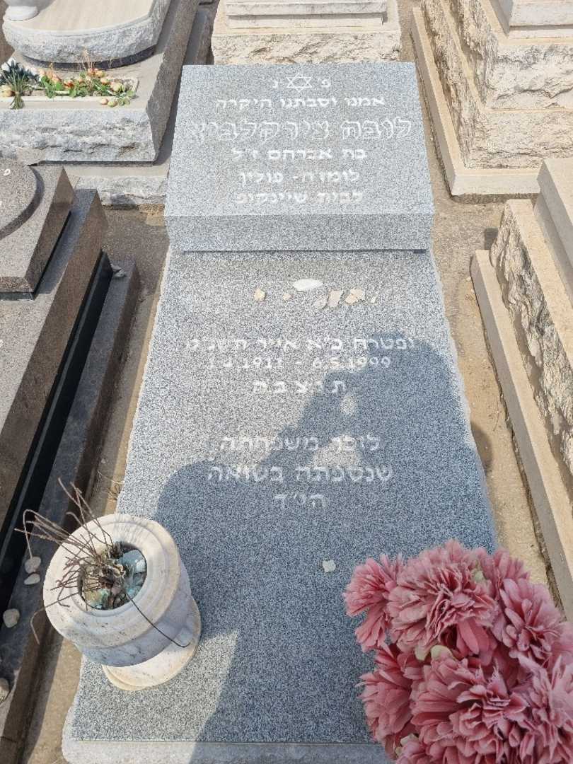 קברו של לובה "שיינקופ" צירקלביץ. תמונה 2