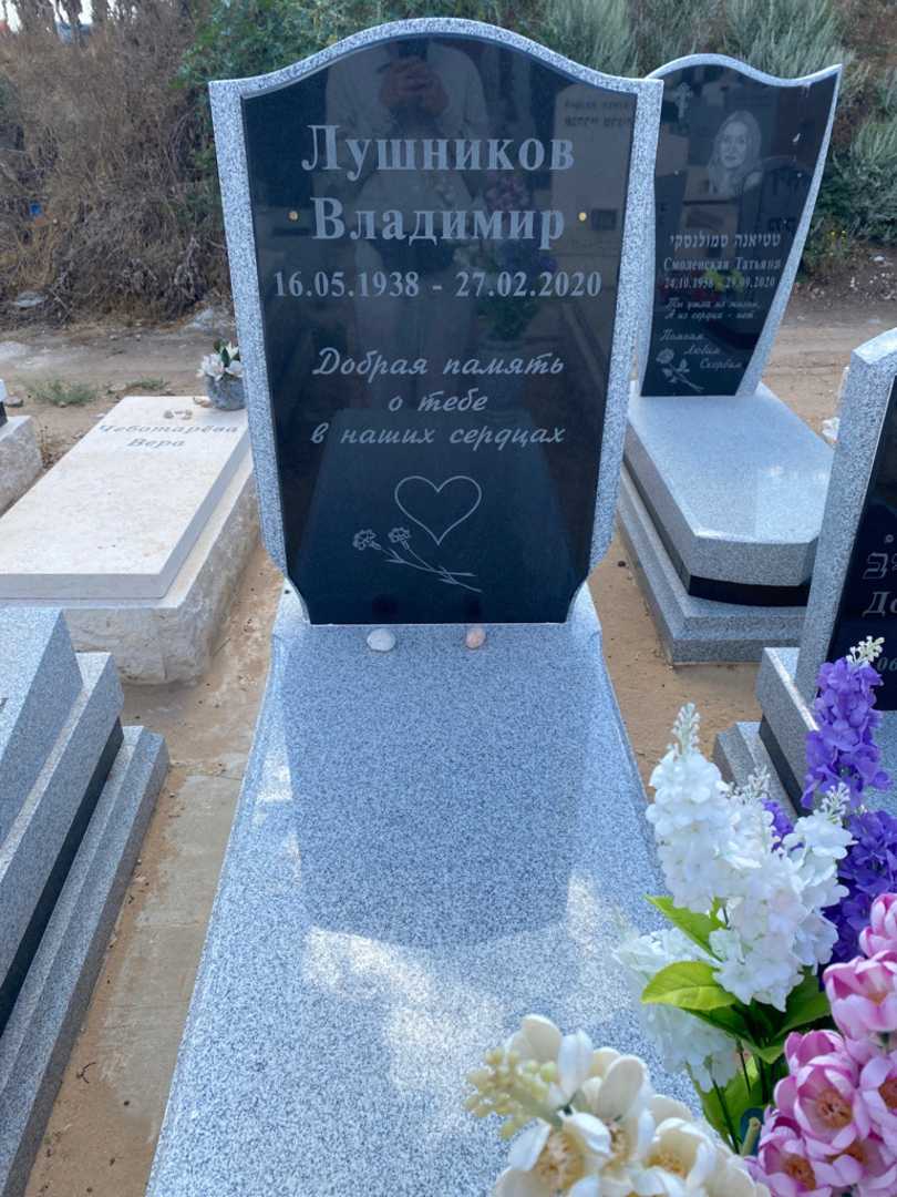 קברו של ולדימיר לושניקוב