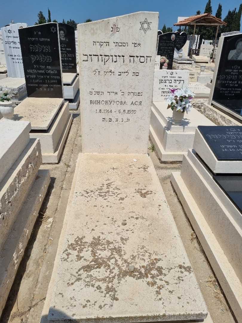 קברו של חסיה וינוקורוב