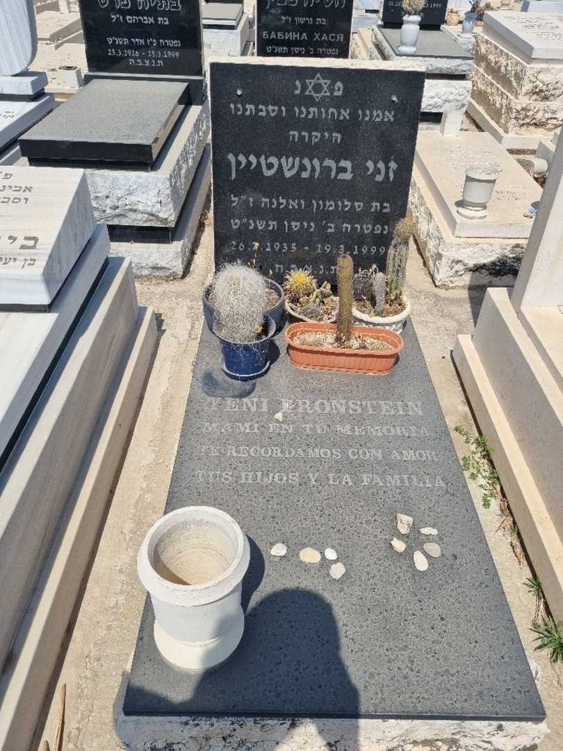 קברו של זני ברונשטיין
