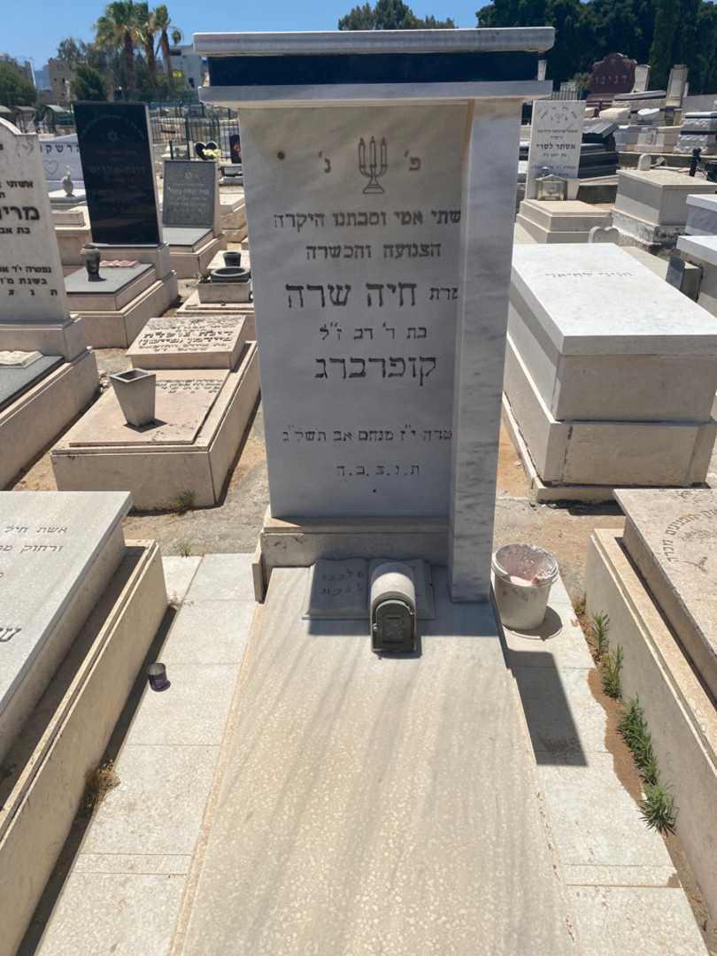קברו של חייה קופרברג. תמונה 1