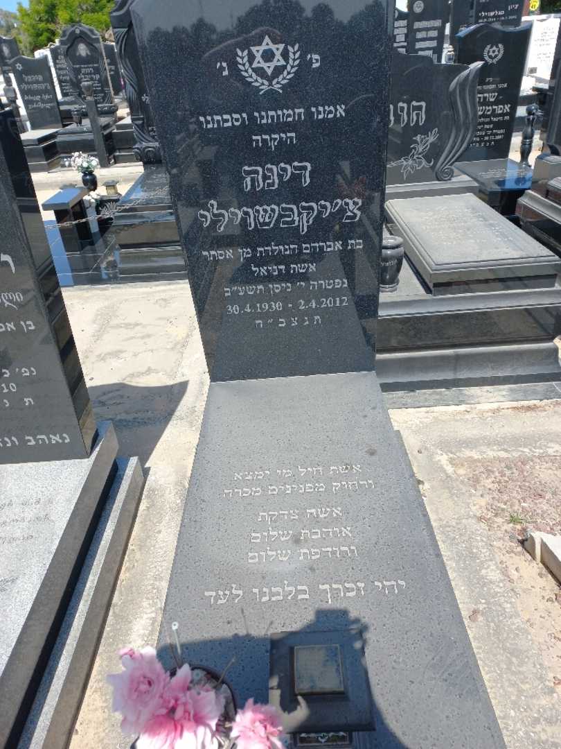 קברו של דינה ציקבשוילי