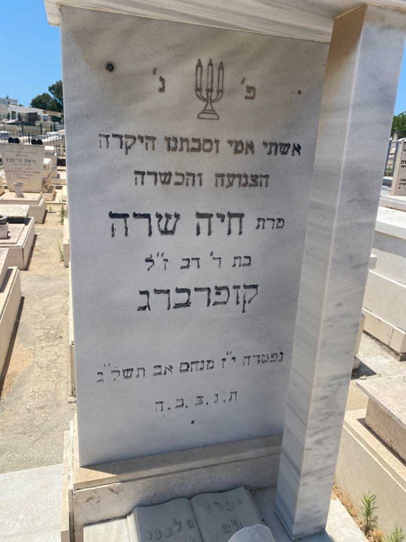 קברו של חייה קופרברג. תמונה 2